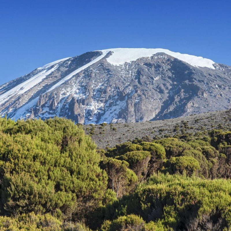 Climb-Kilimanjaro
