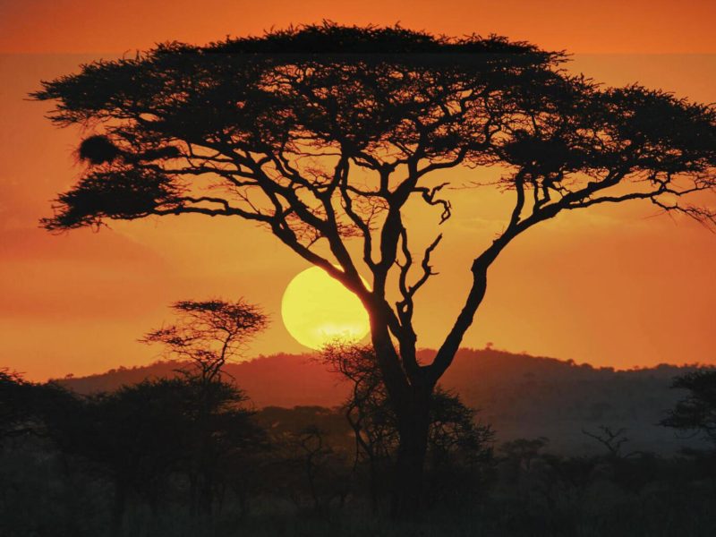 Serengeti-National-Park-7